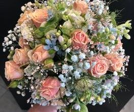 Blumen Meyer Bild 7