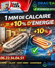Allo Alex image 15
