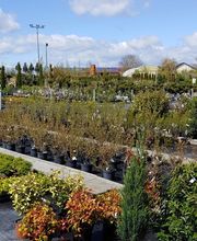 Kienzle Garten GmbH Bild 11