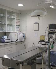 hospital-veterinari-de-lurgell-mesa-operaciones-03.jpg