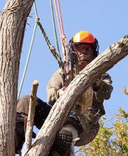 Lacroix David image 1