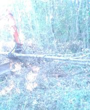 Oberti Sébastien image 16