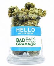 Bad Gramm3r image 8
