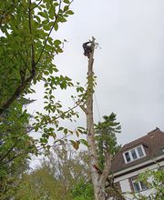 WhatsApp Bild 2025-03-31 um 09.47.10_9730ee26.jpg