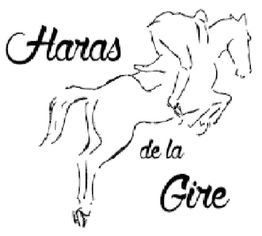 JMO Equitation