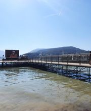 Ig Expo Ig Structure Ig Groupe image 1