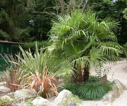 Maris Paysage image 5