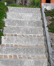 Gärtner Widmer Bild 7