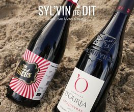 Syl'vin te dit image 7