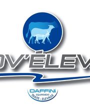 Daffini SARL image 1