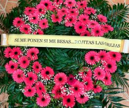 rojitas-las-orejas-300x300.jpg