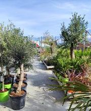 Bricomarché Gannat image 5