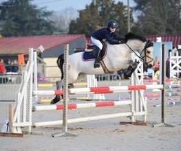 Le Haras De Muralis image 2