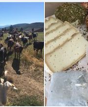 Du Grand Jas GAEC image 2