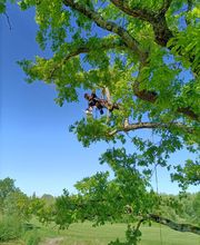 Tachet Pierre-Hubert image 10