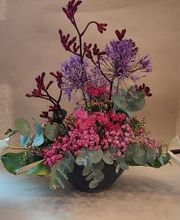 Blumen Dahlmann Bild 12