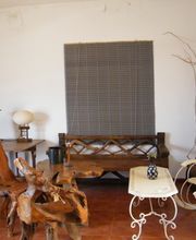 viveros-las-palmeras-1.jpg