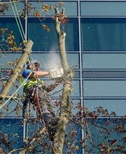 Pottu & Seitz SA Bild 5