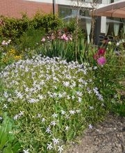 Alterszentrum Schiffländi Bild 5