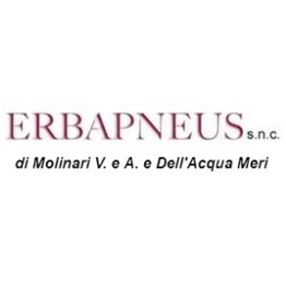 Erbapneus logo