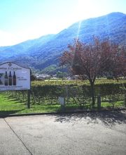 CANTINA IL CAVALIERE SA Bild 1