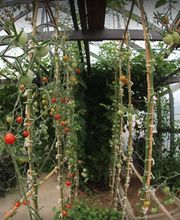 Hydro et culture St malo image 3