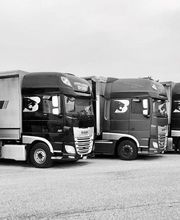 Autotrasporti Spader Roberto immagine 1