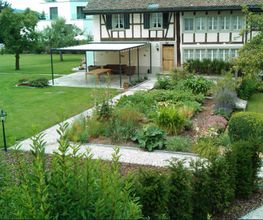 LEDER Garten- + Landschaftsbau Bild 8