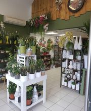 Au Jardin d'Azylis image 4