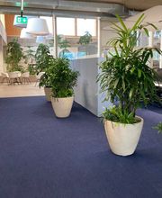 JOOS FLORISTIK UND INNENBEGRÜNUNG Bild 7