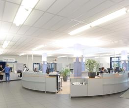 STERNAUTO Bild 4