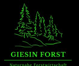 Giesin Forst Bild 2