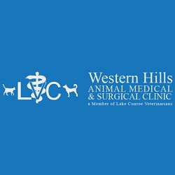 Western Hills Animal Medical & Surgical Clinic