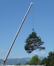 Mollier Bertrand image 4