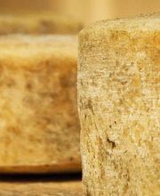 Barranco Especialitats, S.L. imagen 1