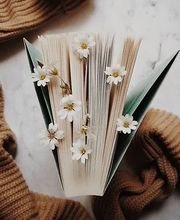 Rose Wiest Thérapie image 1