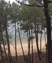 Beaudout Raphael image 18