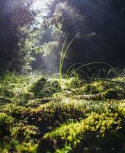 Wiederkehr Christina Bild 2