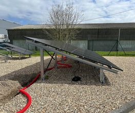 Indepelec image 14