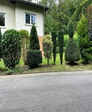 Landschaftspflege & Gartenbau Manuel Alten Bild 7