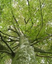 Ana Andueza image 16