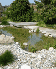 David Gartenbau AG Bild 3