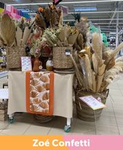 Centrakor / Zoé Confetti Evron image 8