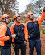 SavATree - Tree Service image 4