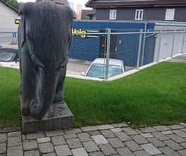 Gasthof Hirschen Bild 6