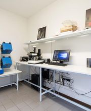 Gallery Professionale