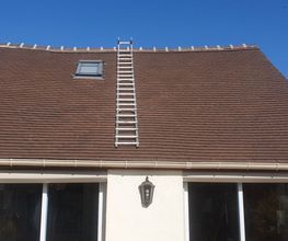 Schatzhabitat image 12