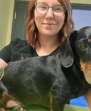 Williamsport West Veterinary Hospital image 13
