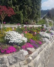 Nyhof Gartenbau AG Bild 7