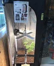Toukipouss Growshop CBD shop image 2